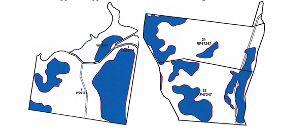 Drynan v Department of Natural Resources, Mines and Energy [2025] QCAT 142
