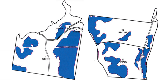 Drynan v Department of Natural Resources, Mines and Energy [2025] QCAT 142